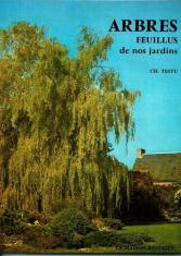 Arbres feuillus de nos jardins