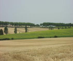 Lauragais